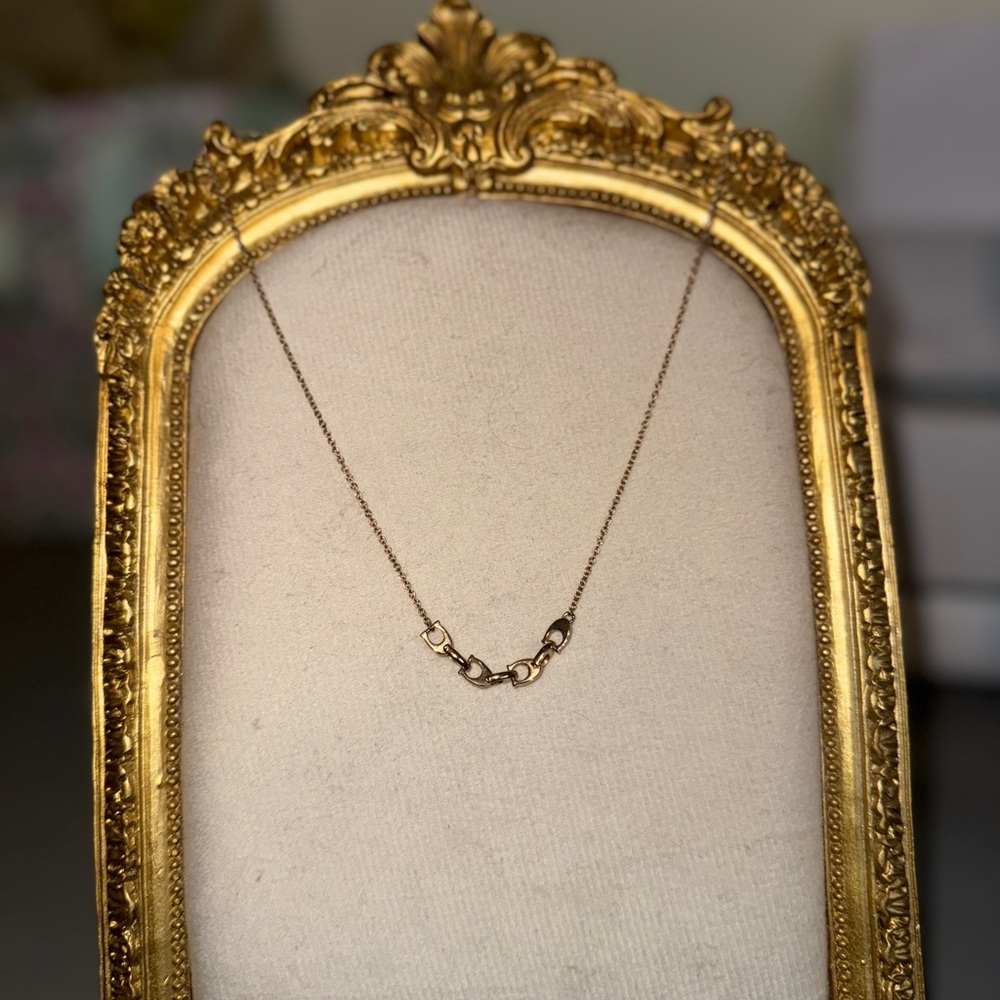 Coach Link Necklace